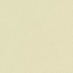 Tarkett Heterojen PVC Zemin Kaplama Ruby 70 Nature LIGHT GREGE 2005