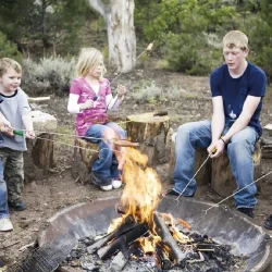 TELESKOBİK BARBEKÜ ÇATALI