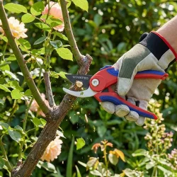 WORKPRO WP332001 180mm Profesyonel Bağ Bahçe Dal Budama Makası