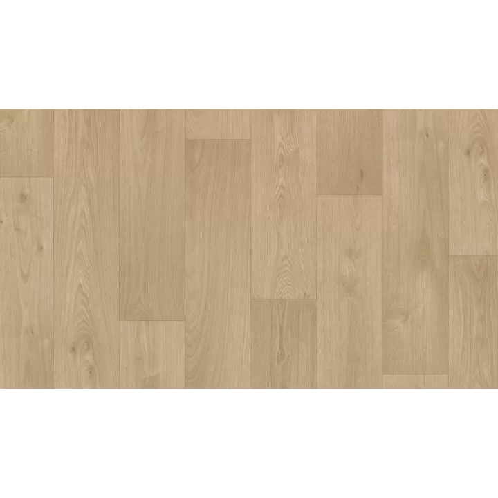 2x23m