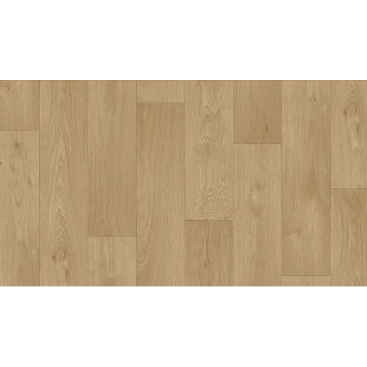 2x23m