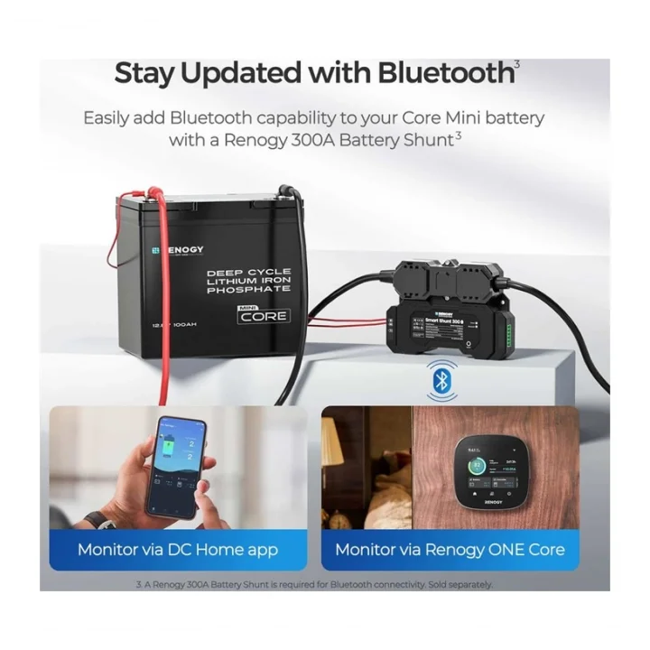 Renogy 12V 100Ah Core Mini Lityum Akü - Ultra Kompakt LiFePO4