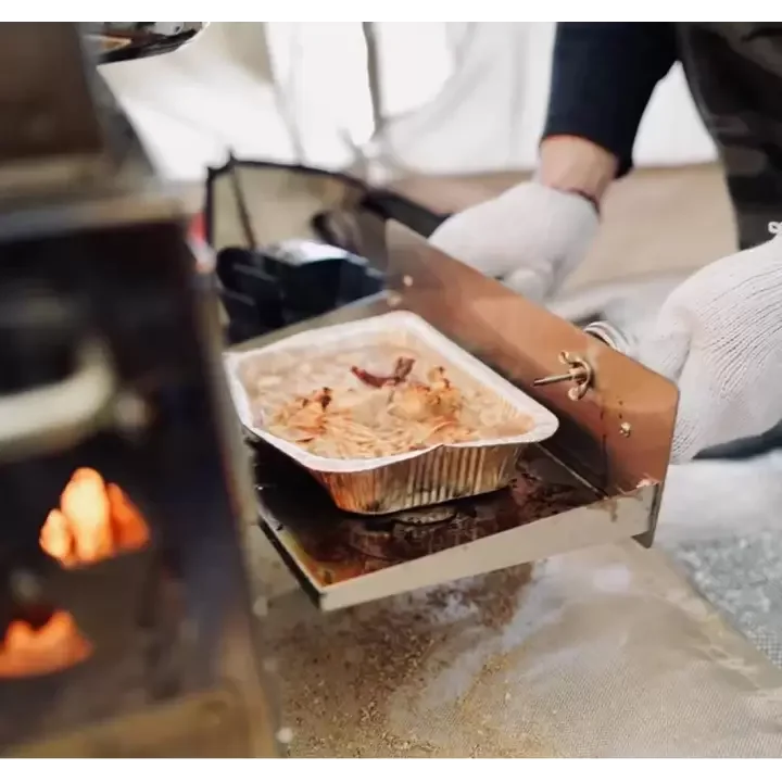 Campasist Pelet Sobası Kamp / Veranda Sobası (Çantalı)