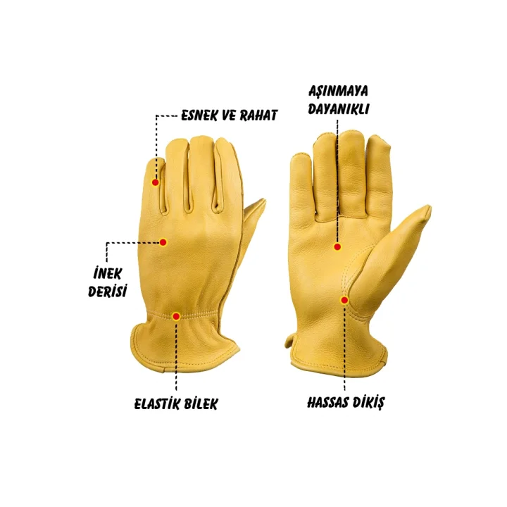 CAMPOUT DANA DERİSİ ELDİVEN