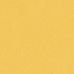 2x23m