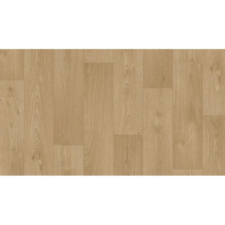 2x23m