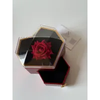 Kalpli çekmeceli kutu