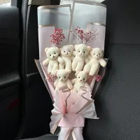 Ayıcık buketi (pembe kaplamalı)