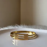 ÇELİK KABURGA KELEPÇE