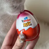 ÖZEL KINDER YUMURTA İÇİNDE YÜZÜK