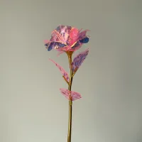 Sonsuzluk gülü pembe