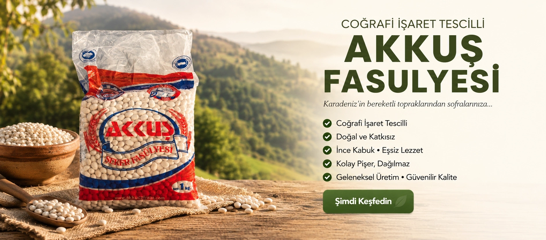 Akkuş Fasulyesi
