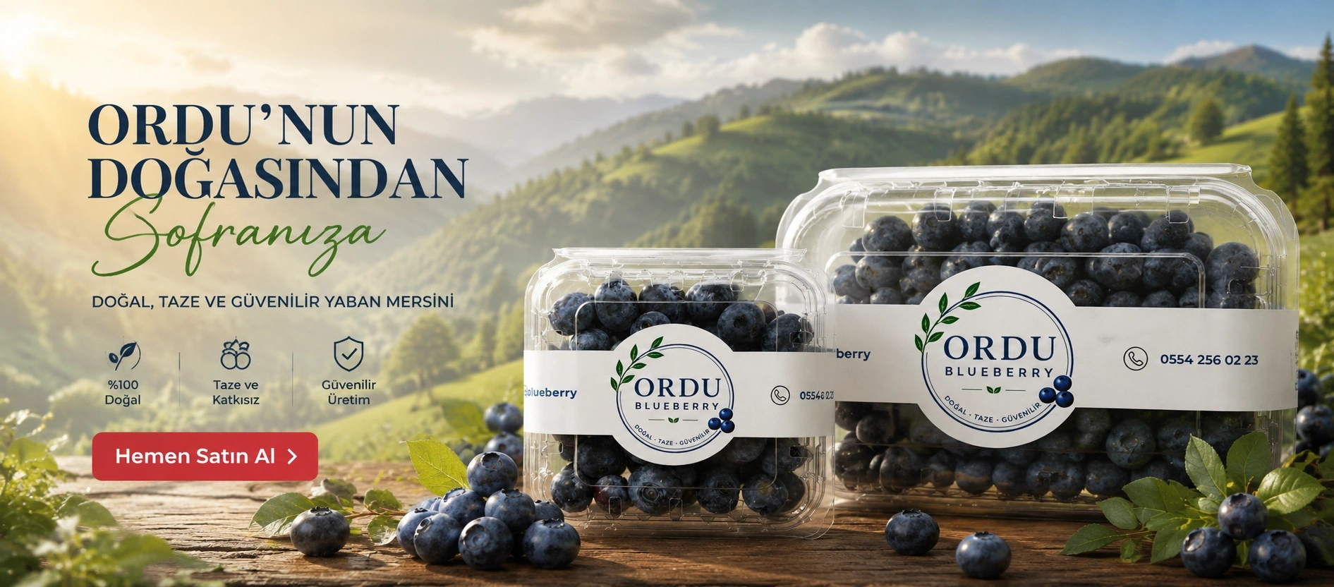 Yaban Mersini