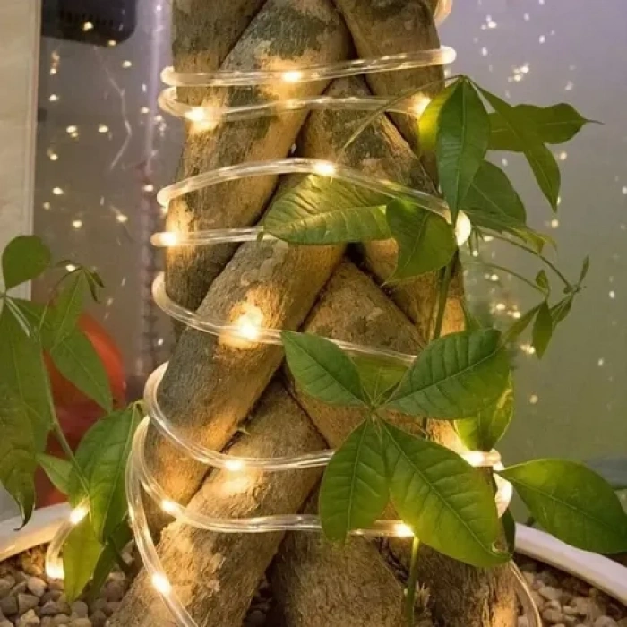 Nevamel 10m 100 LED Solar Led Işık Gün Işığı Şeffaf Kablolu