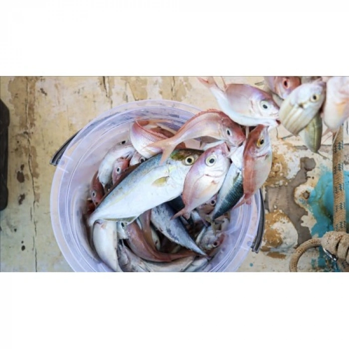 Nevamel 300 Metre Polietilen Microfiber Profesyonel İp Misina