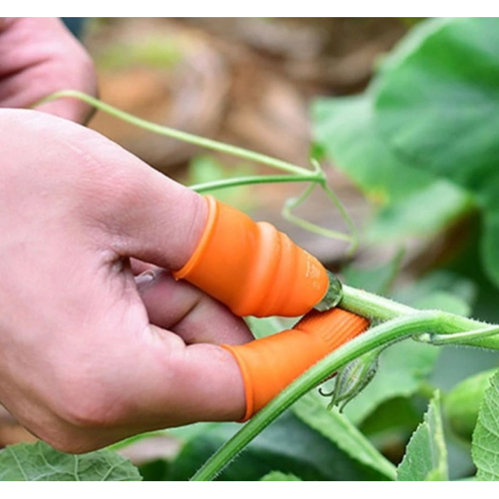 Nevamel Baş Parmak Sebze Ayıklayıcı Set Kadın