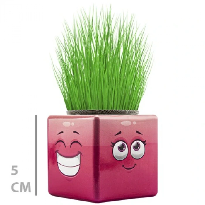 Nevamel Çim Adam Mini Küp Emoji Figürlü 1 Adet