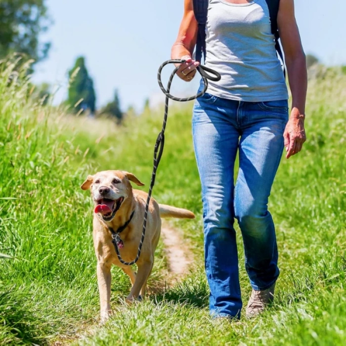 Nevamel Evcil Hayvan Fitil Gezdirme Tasması 10 mm x 120 cm