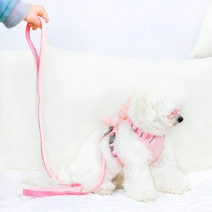 Nevamel Evcil Hayvan Peluş Ayıcıklı Göğüs Gezdirme Tasması Set