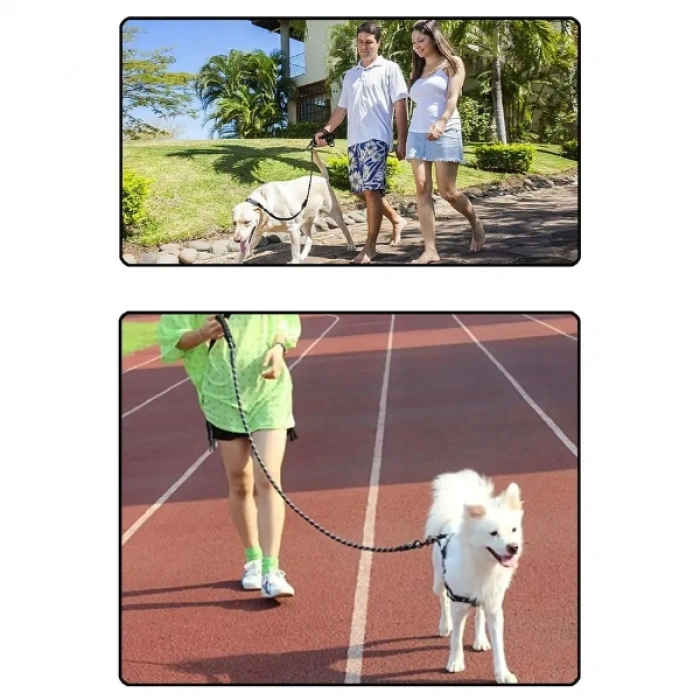 Nevamel Evcil Hayvan Reflektörlü Fitil Gezdirme Tasması 8 mm x 120 cm