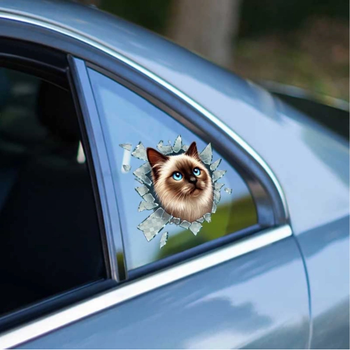 Nevamel Fulcar Siamesse Araç Stickerı