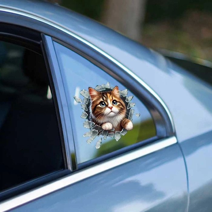 Nevamel Fulcar Stray Araç Stickerı