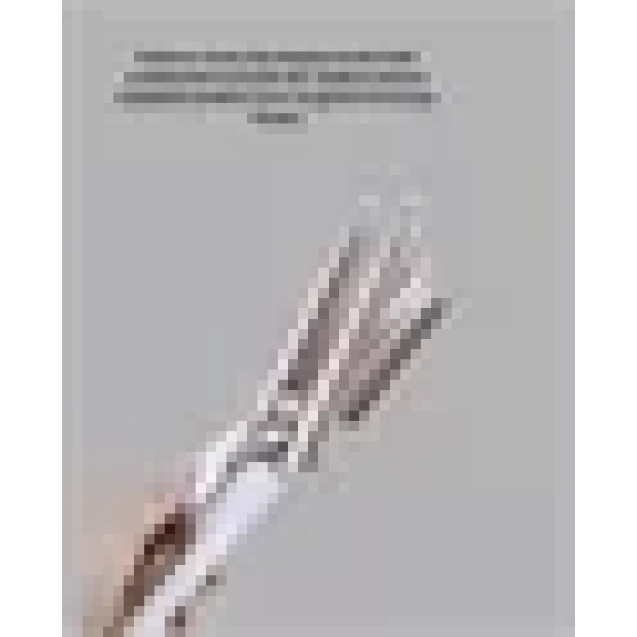 Nevamel® Hızlı Isınan Şarjlı Saç Kıvırıcı Maşa