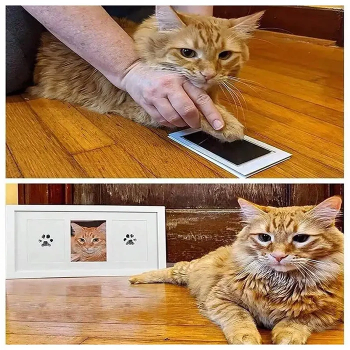 Nevamel Kedi Köpek Pati İzi Fotoğraf Çerçevesi Seti