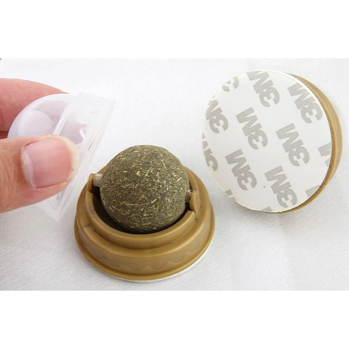 Nevamel Kedi Otu Oyun Topu