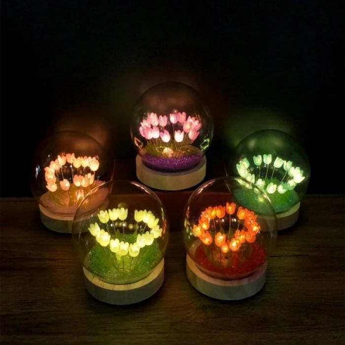 Nevamel  Led Işıklı Lale Cam Fanus