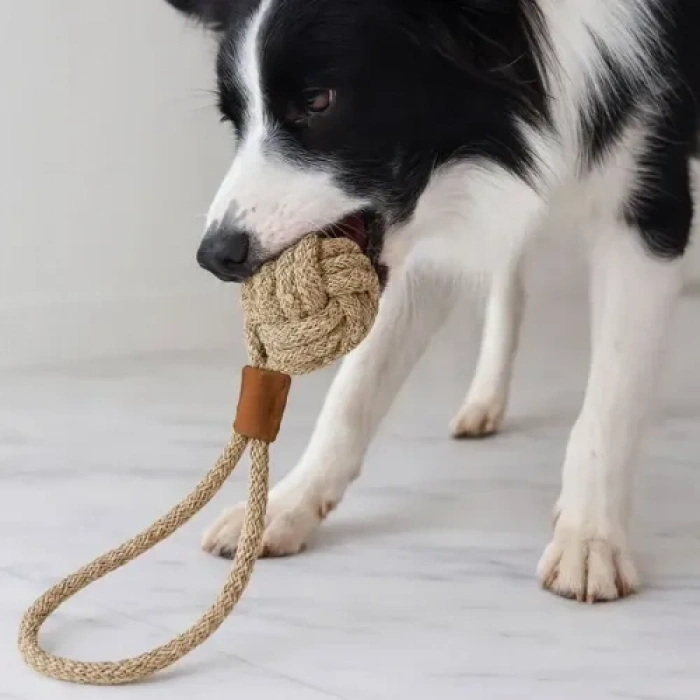 Nevamel Mikopet Köpek Oyun Topu