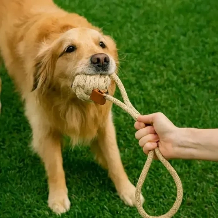 Nevamel Mikopet Köpek Oyun Topu