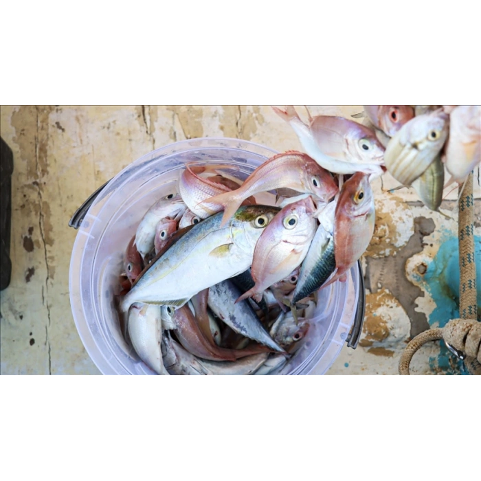 Nevamel Misina İpi 300 Metre