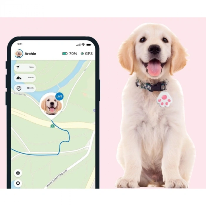 Nevamel Mobil Uygulamalı Evcil Hayvan Takip Cihazı