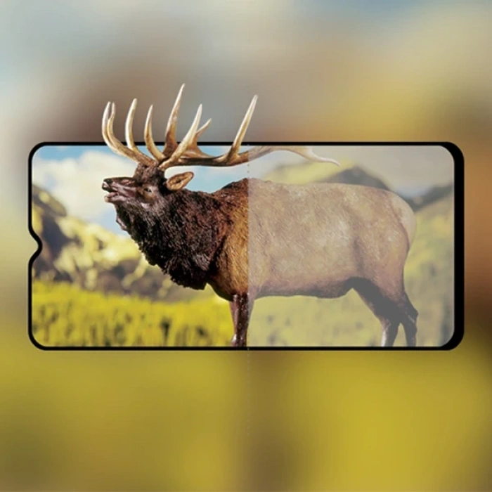 Nevamel OPPO A9/A5 (2020) 3D Full Glue Tempered Cam Ekran Koruyucu-(5775)