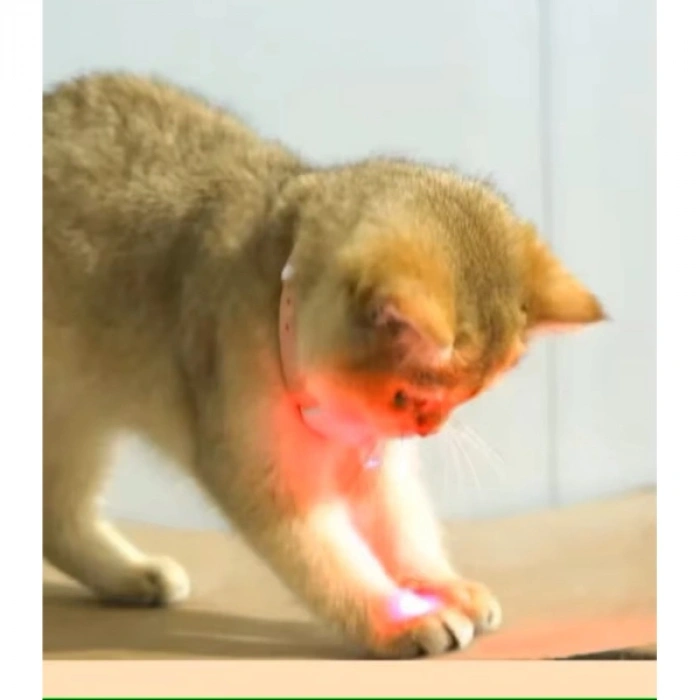 Nevamel Otomatik Lazer Oyun Tasması