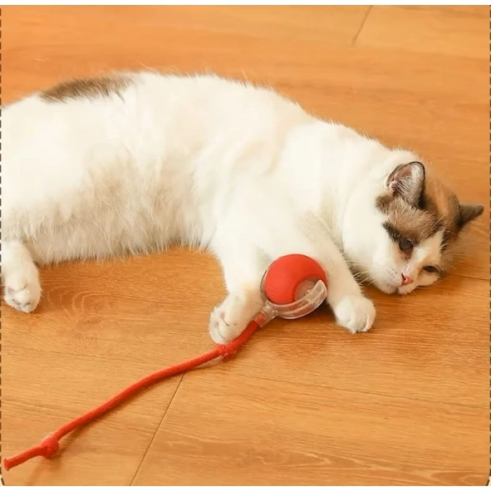 Nevamel® Şarjlı Kedi Oyuncağı