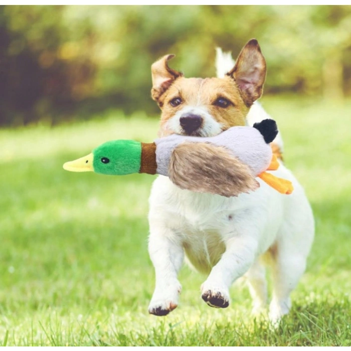 Nevamel Sesli Ördek Şekilli Peluş Köpek Oyuncağı