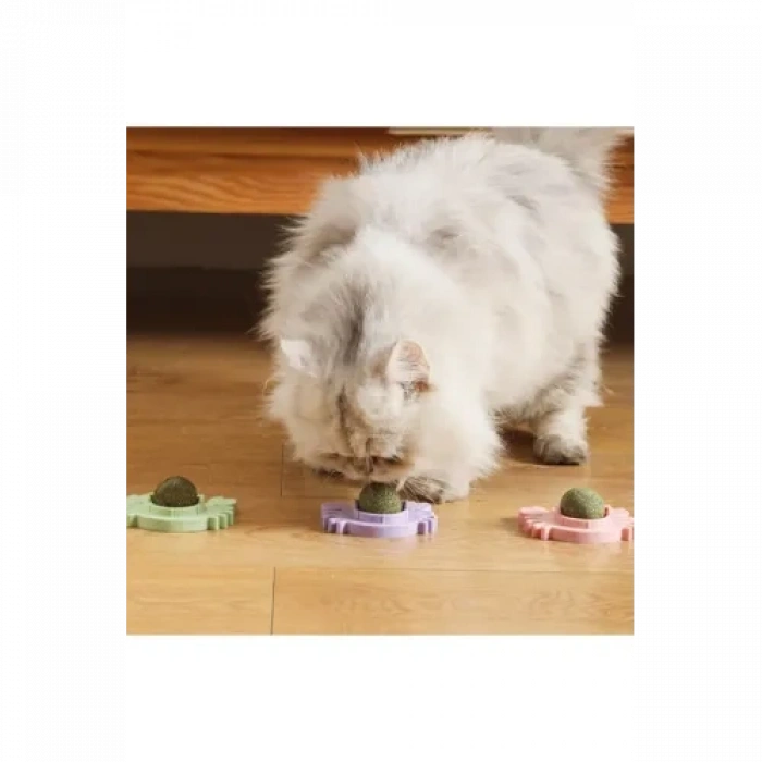 Nevamel Yengeç Kedi Otu Oyun Topu