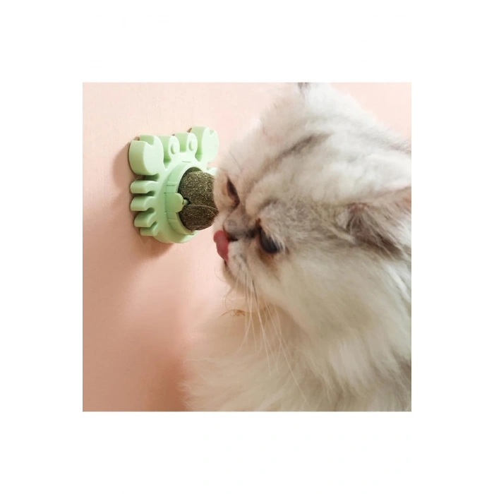 Nevamel Yengeç Kedi Otu Oyun Topu