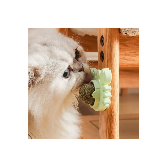 Nevamel Yengeç Kedi Otu Oyun Topu