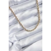 Nevamel® 316L Çelik Gold Renk 60 cm Burgu Model Kadın Kolye 5886