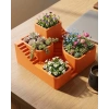 Nevamel® 3D Baskı Çoklu Kaktüs ve Sukulent Saksı Seti Şık Tasarım Dekoratif Bitki Düzenleyici