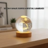 Nevamel® 3D Yunus Desenli Kristal Küre Ahşap Tabanlı Işıklı Dekor Objesi