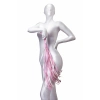 Nevamel® Anonymo Deri Kırbaç #0006, Pu Deri, Pembe, 64 Cm (Kod:0006)
