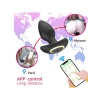 Nevamel® Big Boat Anchor Swing – Telefon Kontrollü Titreşimli Anal Plug (Siyah)