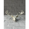 Nevamel® Dekoratif Geyik Başı Heykel 25 cm Modern Minimal Tasarım