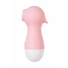 Nevamel® Flovetta Vakum Dalgası Uyarıcısı Ixora, Silikon, Pembe, 9,8 Cm