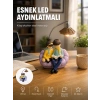 Nevamel® Okuyan Çift Figürlü Dekoratif Gece Lambası Hediye Seçeneği