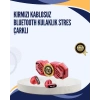 Nevamel® Orijinal 2025 Bluetooth Kulaklık Titreşim Uyarılı A Kalite Kablosuz